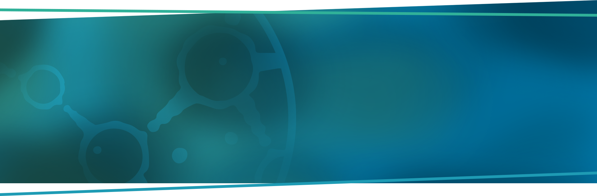 Background slider one header PICsL