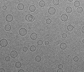 Image CryoEM expertise PICsL