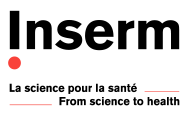 Logo INSERM partner PICsL