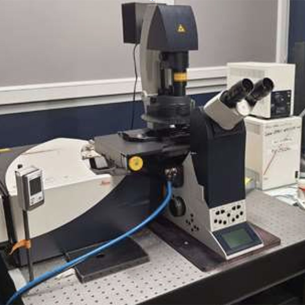 Leica SP8 TAU STED X PICsL Marseille