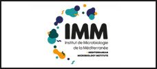 Logo plateforme IMM
