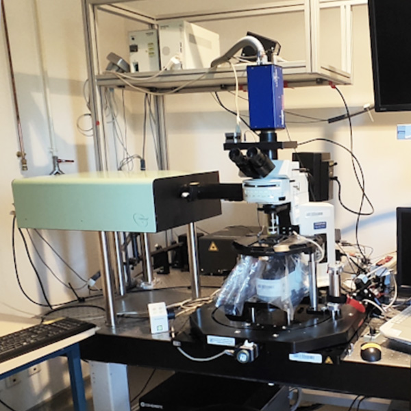 Lightsheet Myltenyi Ultra microscope Blaze, mesoscopy