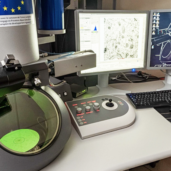 FEI Tecnai G2 20 TWIN (200KV) PICsL Electron microscopy