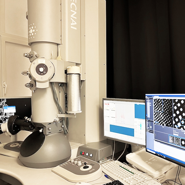 FEI Tecnai G2 20 TWIN Electron microscopy PICsL
