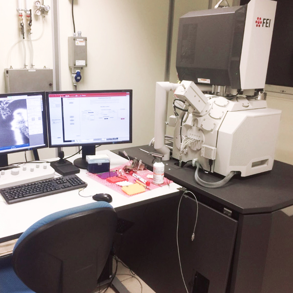 FEI Teneo VS, Serial BlockFace SEM, Low Vacuum PICsL Marseille