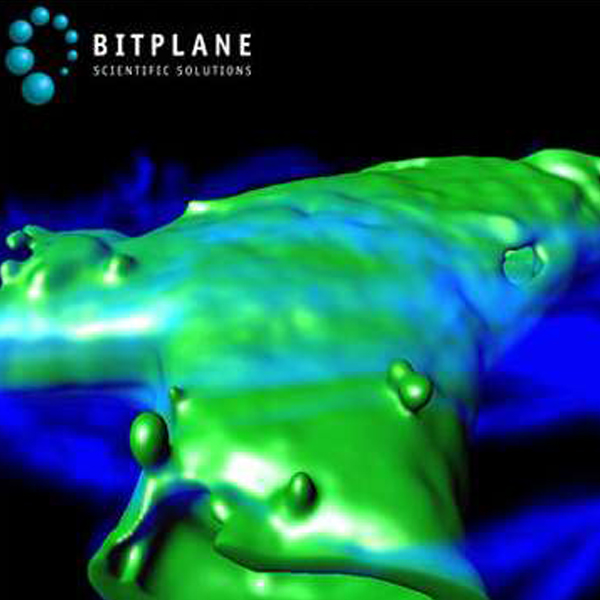 Floating License Imaris Base PICsL Marseille