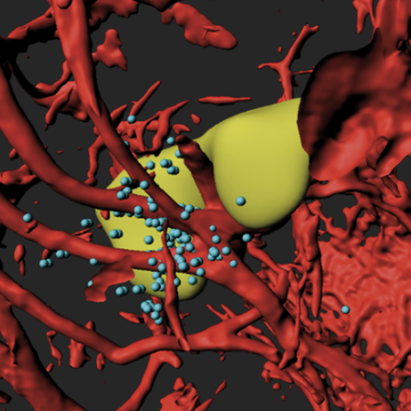 Station Huygens PICsL 3D analysis
