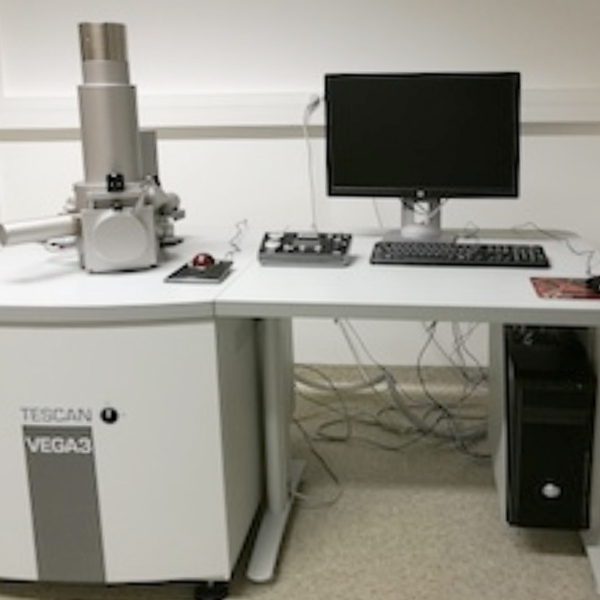 Tescan VEGA3 SBU, Low Vacuum PICsL Marseille