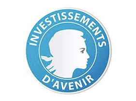 Logo Investissements d'avenir