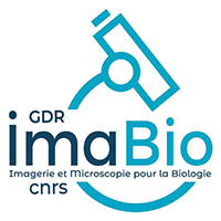 Logo imaBio - Scientific network - PICsL